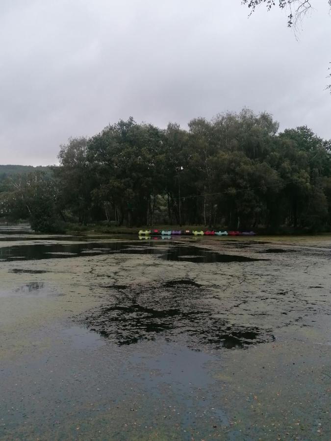 Les Gites De L'Etang De La Foret Brandivy Esterno foto